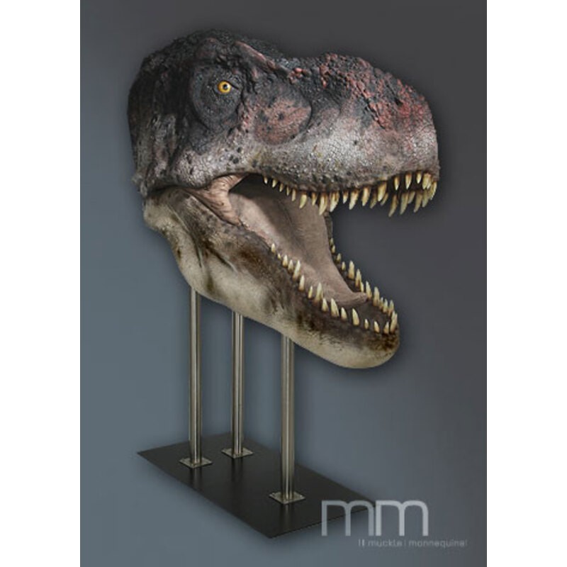 Muckle mannequins Dinosaur: Life Sized Open Mouth T-Rex Statue...