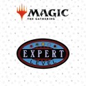 FNTK-HAS-MAG03 Magic the Gathering pin's Expert Level Limited Edition