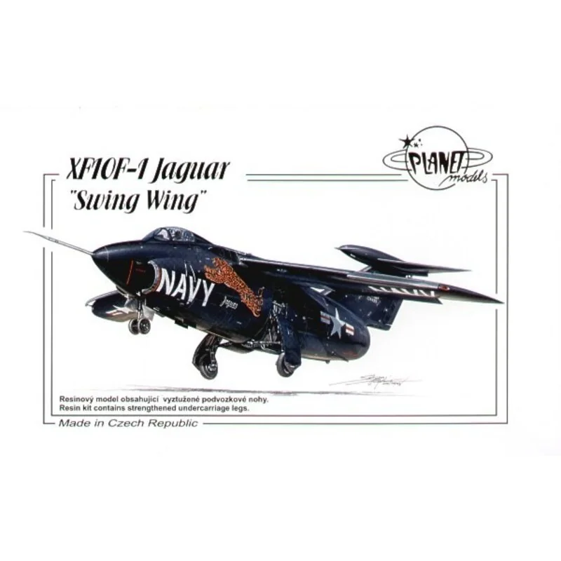 XF10F-1 Jaguar Swing Wing with US Navy decals with Leaping Jaguar nose art