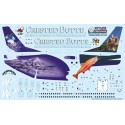 Boeing 737-300 WP Western Pacific N953WP Crested Butte includes photo etch parts. Designed to fit Skyline kit SKY4403A