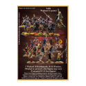 Saga - Age of Hannibal - Gallic Starter Warband