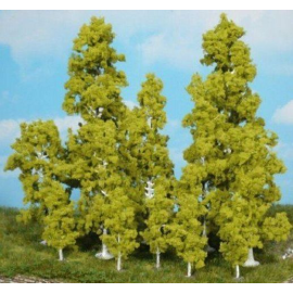 Set van 10 berkenbomen van 10-18 cm 