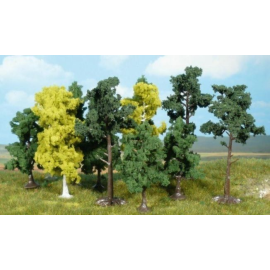 Assortiment van 10 bomen 14-18 cm 