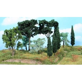 Set mediterrane bomen, 11 bomen van 8 tot 17 cm 