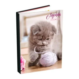 Agenda 2024-2025 320 Pages Cat 12X18cm 