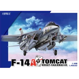 Grumman F-14B Tomcat Schaalmodel 