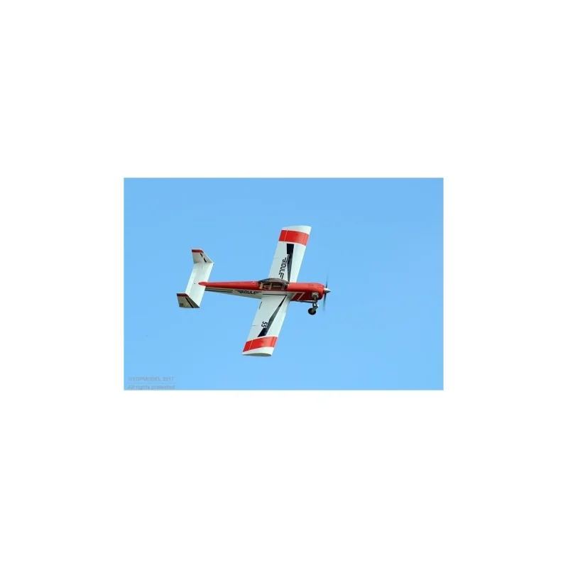 Ecotop Bidule 55 V3 ARF aircraft approx. 2.46m RC vliegtuig