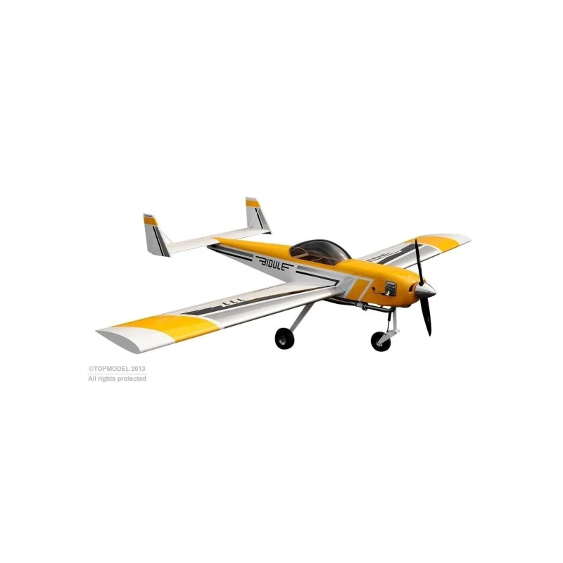 Ecotop Bidule 111 ARF aircraft approx. 3.00m RC vliegtuig 