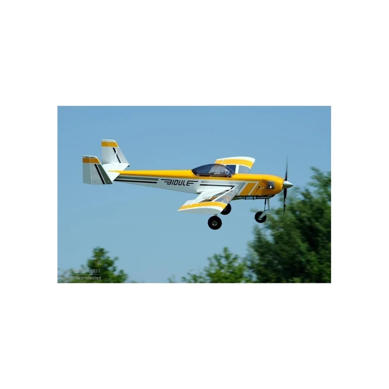 Ecotop Bidule 111 ARF aircraft approx. 3.00m RC vliegtuig