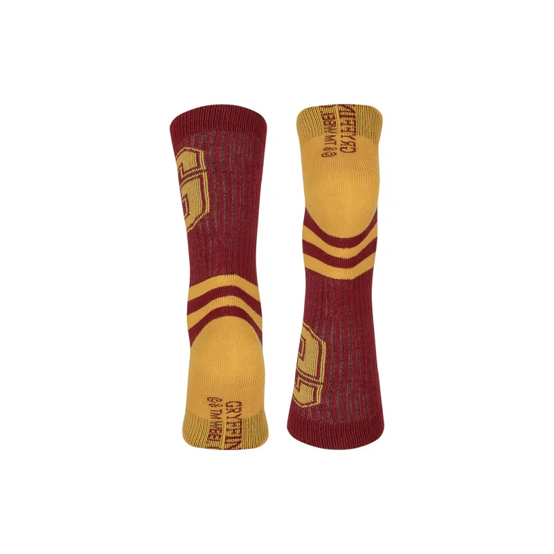 HARRY POTTER - Gryffindor - 1 pair of socks (T40-45) Schoenen en sokken