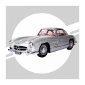 MERCEDES-BENZ 300 SL SILVER Modelauto bouwpakket