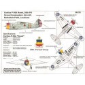 USAAC P-36A (designed to be assembled with model kits from Special Hobby)