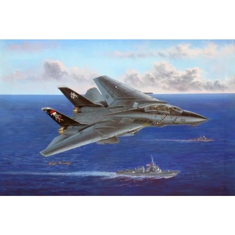 Grumman F-14B Tomcat