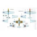 P-51D Mustang Part 3 (3) 44-63607 FT-L 354th FG Lt.Col.Glenn T. Eagleston yellow nose; 44-72308 WD-A 4th FG Maj Peirce W.McKinno