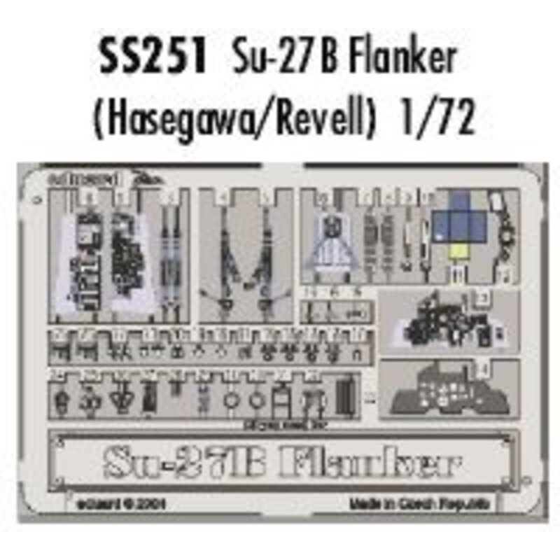 Sukhoi Su-27B Flanker PRE-PAINTED IN COLOUR! (designed to be assembled with model kits from Hasegawa and Revell) This Zoom set i