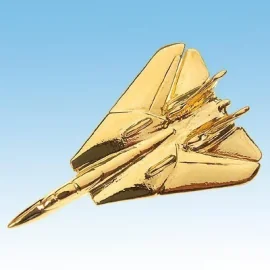 Pins F-14 Tomcat