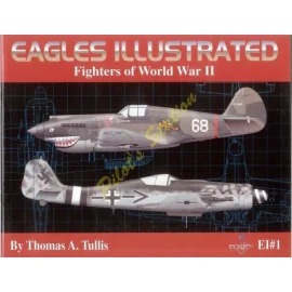 Eagles Illustrated : Fighters of World War II