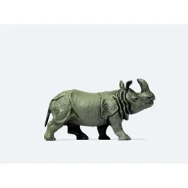 Indian rhinoceros