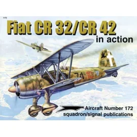 FIAT CR 42 32/CR IN ACTION