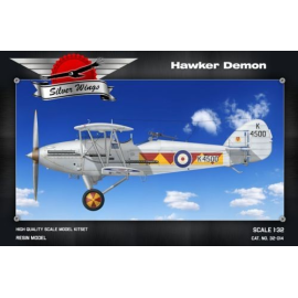 Hawker Demon . Kit includes: 130 resin parts- 92 pe film - reinforced wings - struts- instruction decals RAF Hawker Demon - K452