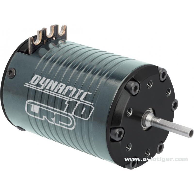 DYNAMIC MOTOR 10 3800KV BL