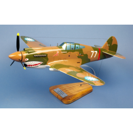P-40B Curtiss Hawk Miniature