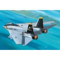 Grumman F-14A Tomcat Modelvliegtuigen