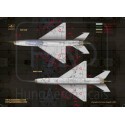 Mikoyan MiG-21UM HUnAF stencils for DDR and Silver painting