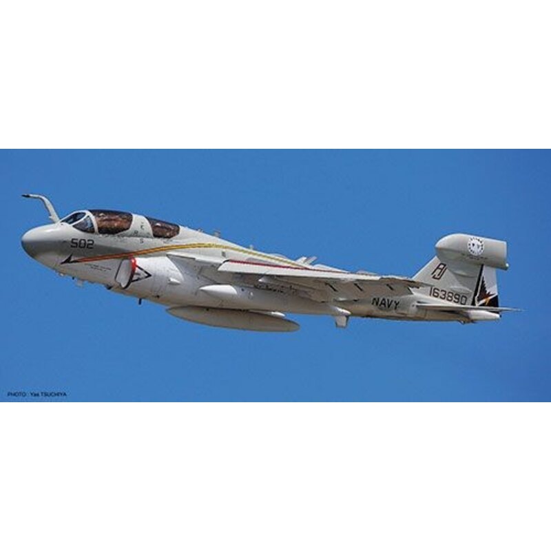 Grumman EA-6B Prowler USNAVY Farewell