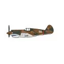 Model Curtiss P-6 Hawk